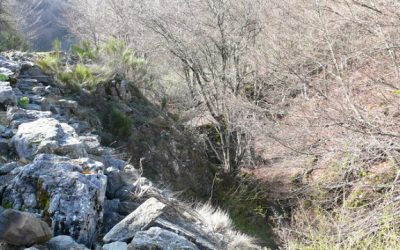 La Pola de Gordón – Refugio Llanolespin – Cueva San Mateo – Cueto San Mateo (1.603 m)