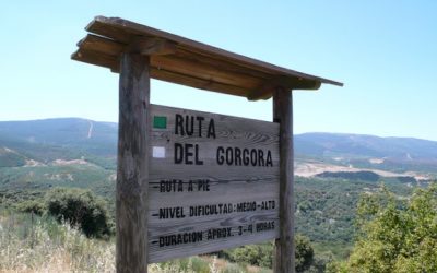 Montealegre – Cañones del Górgora – Cueva del Moro