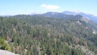 Sequoia National Park – Moro Rock Trail – Moro Rock (2.050 m.) – Sugar Pine Trail – Trail of the Sequoias – Congress Trail