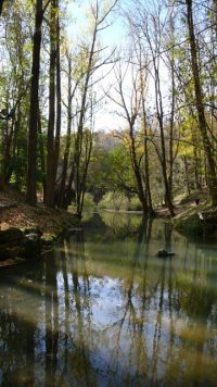 Fontibre – Nacimiento del Río Ebro – Ermita de las Cagigalas – Hayedo de la Guariza