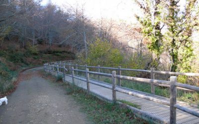 Hayedo de Montegrande – Cascada del Xiblu