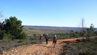 Sariegos – Camino del Mar – Camino del Monte – Camino de las Coronas