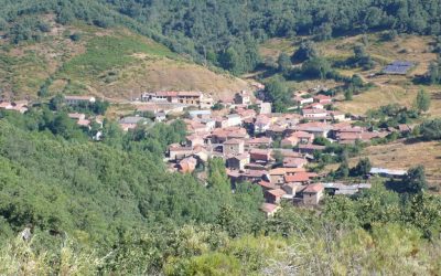 Orzonaga – La mata del té – Faedo de Orzonaga