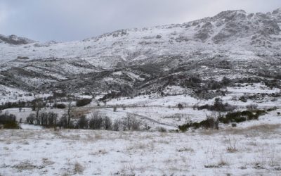 Collada de Ubierzo – De Ubierzo a Sancenas – Pico La Carva (1.917 m.) – Las Vizarreas