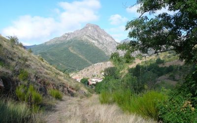 Montuerto – Peña Corbero (1.683 m.) – Pico Prado Llano (1.721 m.) – Peña del Tejo (1.682 m.) – Alto de las Colinas (1.636 m.)