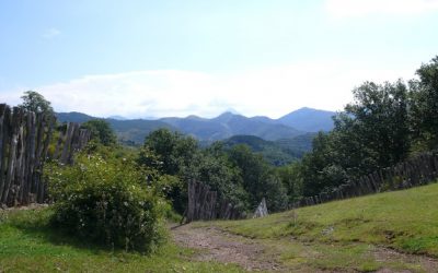 Prioro – Corral de los Lobos – Tejerina