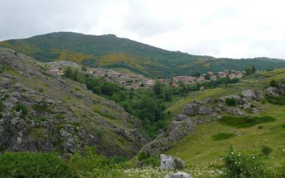 Valporquero de Torío – Hayedo de Valporquero – Peña Moneca (1.576 m)