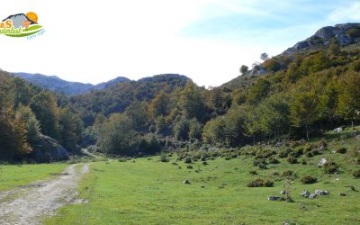 Jito de Escarandi – Refugio Casetón de Ándara – Monte La Llama – Vao de los Lobos – Hayedo de Valdediezma