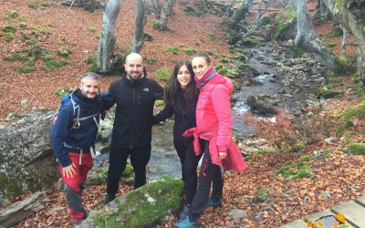 Ciñera – Faedo de Ciñera – Hoces de Villar – Pozo Ibarra