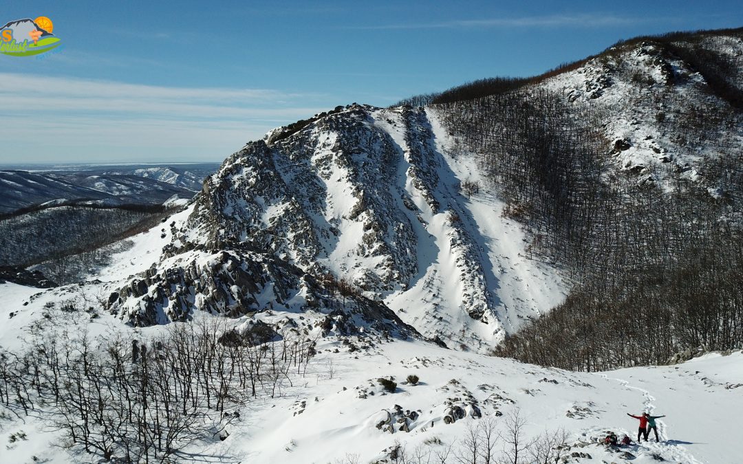 Aviados – Robledal de Sierras Blancas