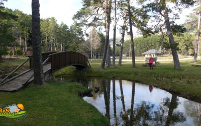 Nacimiento del Río Arlanza – Fuente Sanza