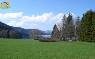 Titisee – Eisweiher