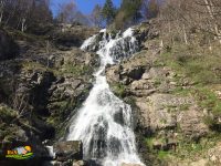 Todtnau – Todtnauer Wasserfälle – Todtnauberg