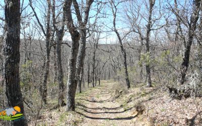 Almanza – Senda de los Rebollares (Ruta Azul)