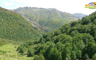 Caldas de Luna – Las Brañas de Caldas