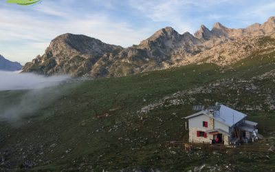 Lagos de Covadonga – Refugio Vega de Ario