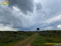 Sariegos – Camino de los Reviriegos – Camino de las Rozas – Camino del Monte – Camino de los Llanos – Lorenzana – Pobladura – Camino de las Pozas