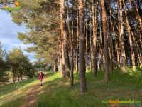 Sariegos – Camino de las Coronas – Camino de las Mulas – Camino de la Cuesta