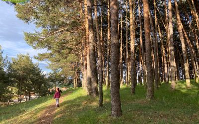 Sariegos – Camino de las Coronas – Camino de las Mulas – Camino de la Cuesta