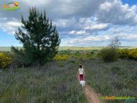 Sariegos – Camino del Mar – Camino de las Mulas – Pobladura – Camino de la Cuesta