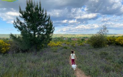 Sariegos – Camino del Mar – Camino de las Mulas – Pobladura – Camino de la Cuesta