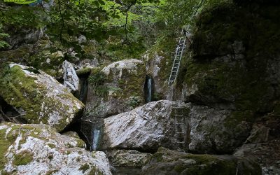 Geras de Gordón – Foz de Meleros – Pico La Silla (1.852 m) – Pico La Carba (1.818 m) – Hayedo de la Boyariza – Foz de Palanco