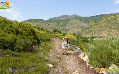 La Vid de Gordón – Las Colladas a San Salvador – Ermita de San Lorenzo – Peña San Lorenzo (1.252 m) – Villasimpliz – Buiza