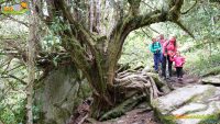 Rioscuro – Brañarronda – Braña de Murias – Ruta de los Tejos