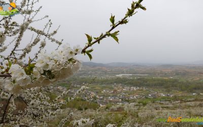 Corullón – Ruta de los Cerezos San Juan y Campelo