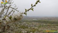 Corullón – Ruta de los Cerezos San Juan y Campelo