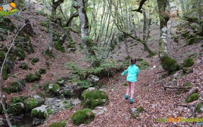 Remolina – Cascada del Chaguazo – Túnel del Chaguazo