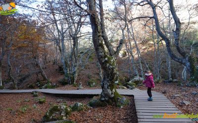 Ciñera – Faedo de Ciñera – Hoces de Villar (2)