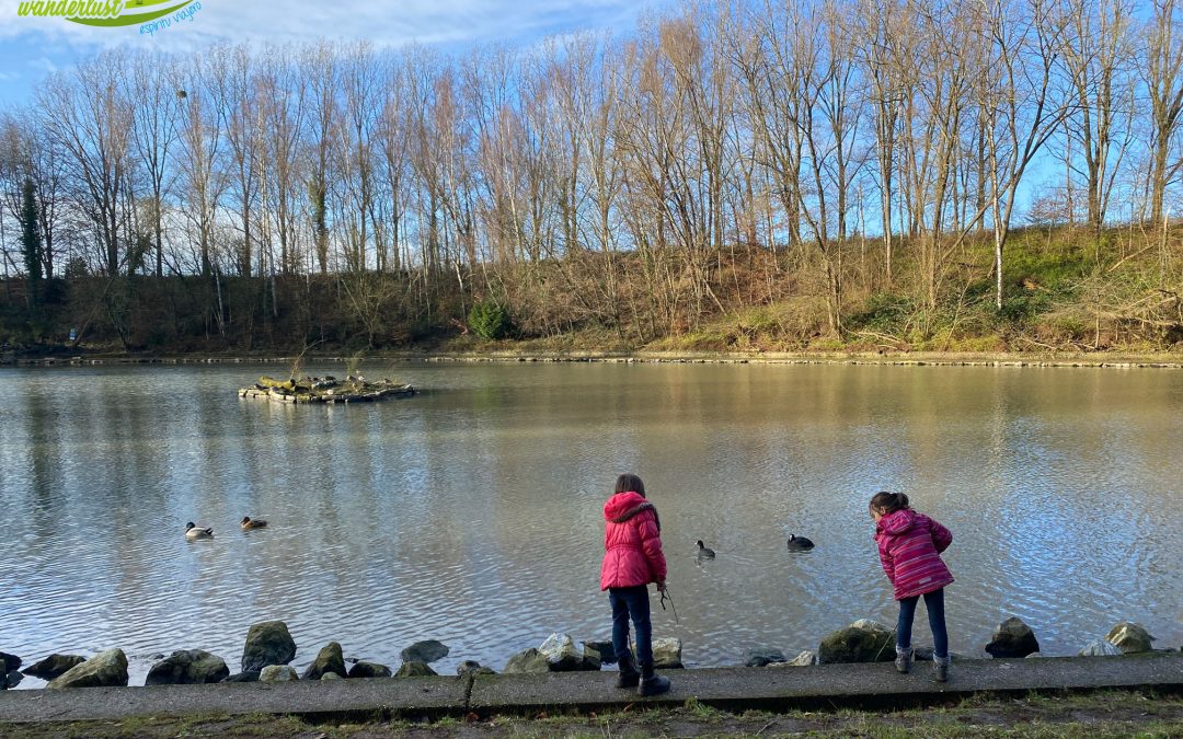 Waterloo – Parc de la Bruyère