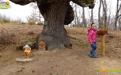 Bosque de los Enanitos – La Cota – Laguna de la Cota – Laguna de las Pegas