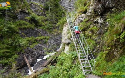 Alpinsteig Durch die Höll – Riesachfälle – Riesachsee