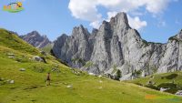 Oberhofalm – Almsee – Sulzenalm-Wallehenhütte – Sulzenschneid (1.990 m)