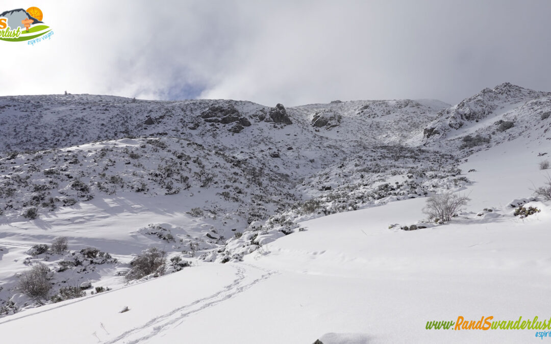 Puerto de Aralla – Refugio del Pedroso – Cerro Pedroso (1.914 m)