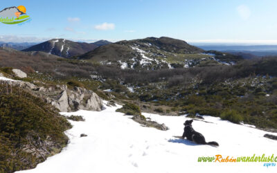 Santiago de las Villas – Peña de los Corros (1.645 m) – La Carva (1.636 m) – Desfiladero del Río Torre