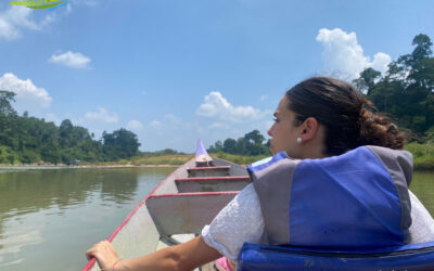 Taman Negara – Rapid Shooting