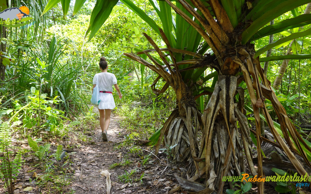 Perhentian Islands – PIR Beach – Jungle Trekking – Arwana Beach