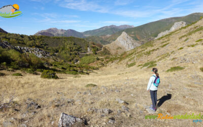Canseco – Palombera – Hayedo de Canseco