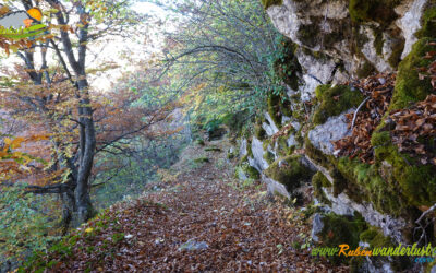 El Llar del Trasgu – Hayedo de las Navariegas – Foz Escura – Pico Feliciano (1.822 m) – Hayedo de la Huerga