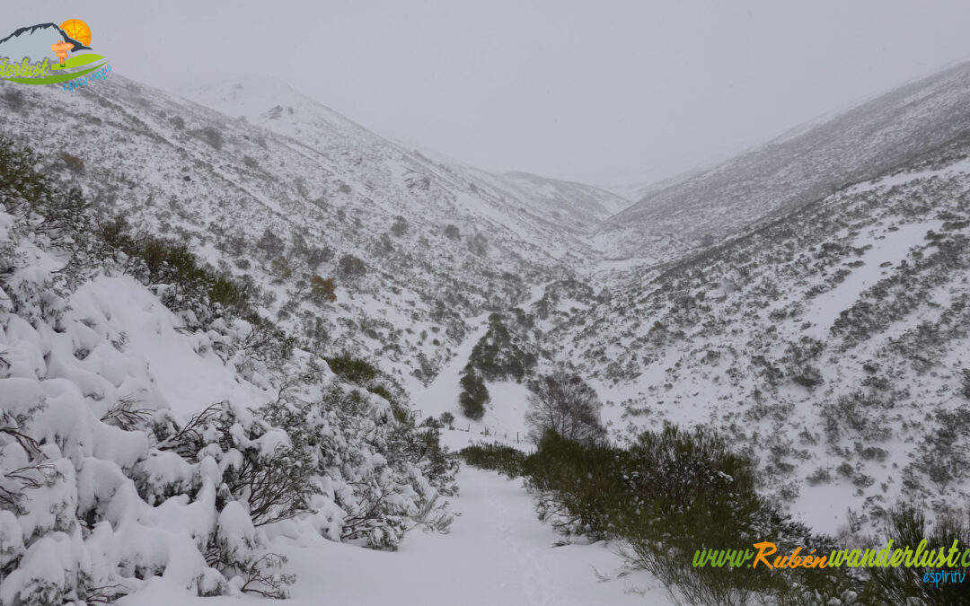 Arbas del Puerto – Mina La Inés