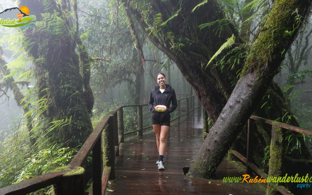 Doi Inthanon – Ang Ka Nature Trail