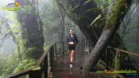 Doi Inthanon – Ang Ka Nature Trail